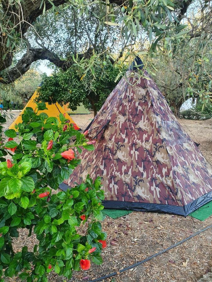 ホテル Camping A Selinunte マリネッラ エクステリア 写真